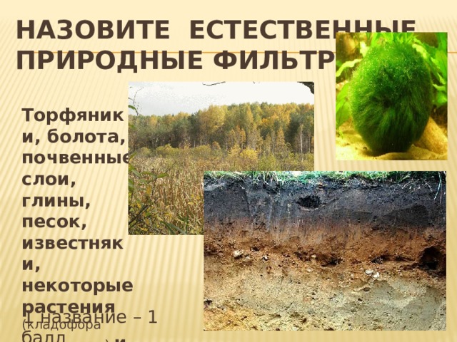 Назовите естественные природные фильтры  Торфяники, болота, почвенные слои, глины, песок, известняки, некоторые растения (кладофора шаровидная) и др.  1 название – 1 балл  
