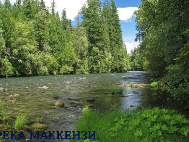 РЕКА МАККЕНЗИ.  