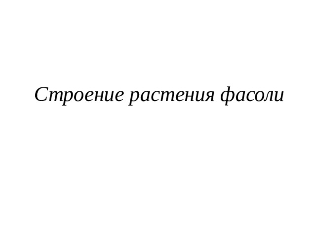  Строение растения фасоли 