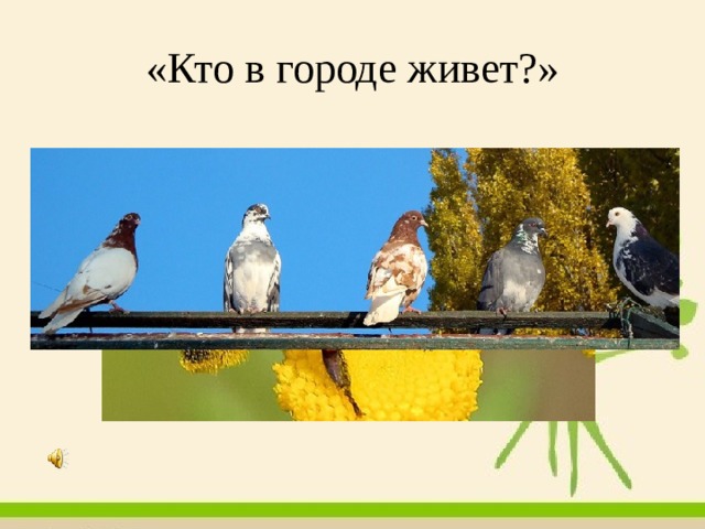 «Кто в городе живет?» 
