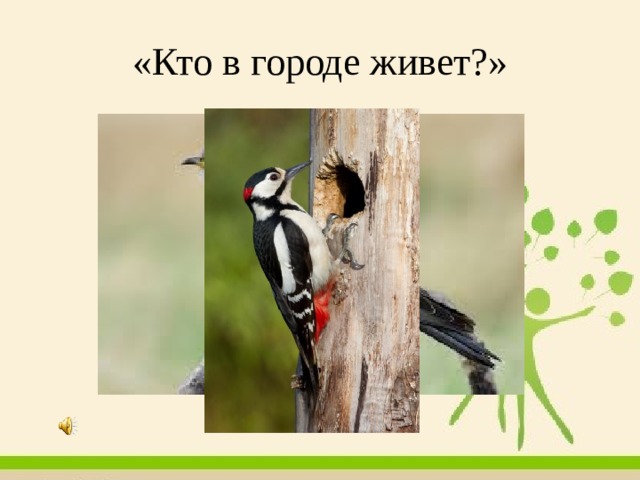 «Кто в городе живет?» 