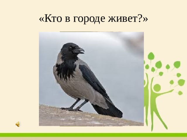 «Кто в городе живет?» 