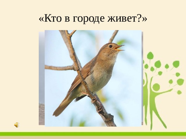 «Кто в городе живет?» 