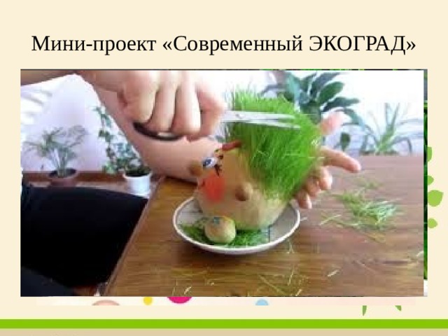 Мини-проект «Современный ЭКОГРАД» 