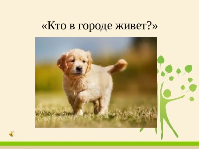 «Кто в городе живет?» 