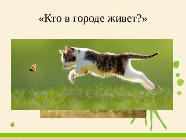«Кто в городе живет?» 