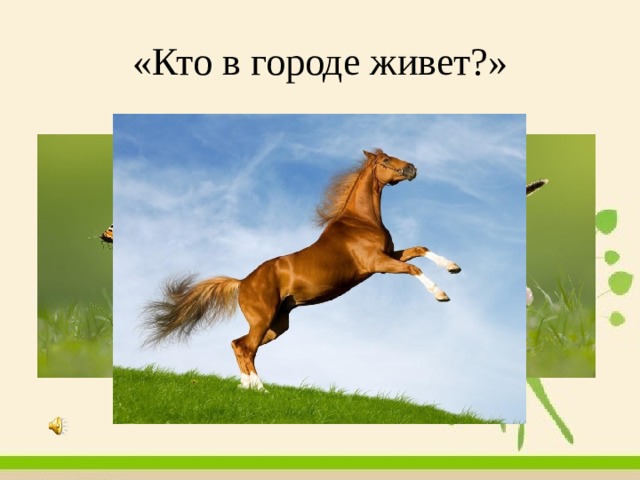 «Кто в городе живет?» 