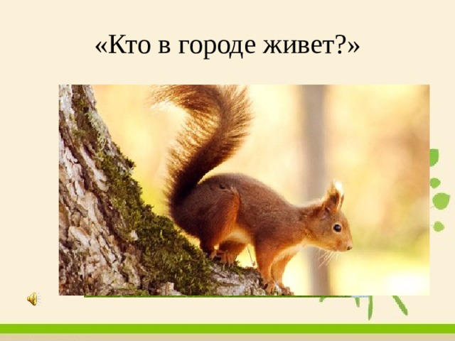 «Кто в городе живет?» 