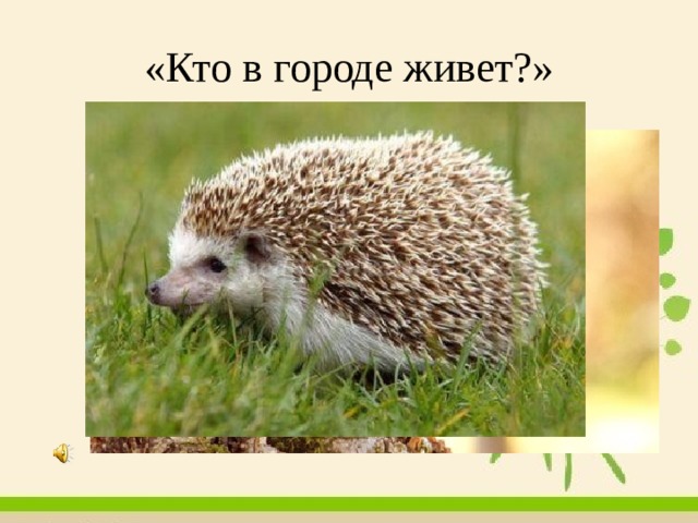 «Кто в городе живет?» 