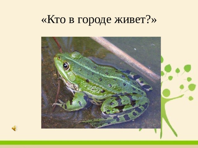 «Кто в городе живет?» 