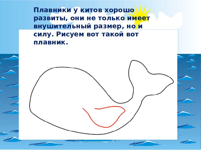 Плавники у китов хорошо развиты, они не только имеет внушительный размер, но и силу. Рисуем вот такой вот плавник. 