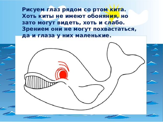 Рисуем глаз рядом со ртом кита. Хоть киты не имеют обоняния, но зато могут видеть, хоть и слабо. Зрением они не могут похвастаться, да и глаза у них маленькие. 