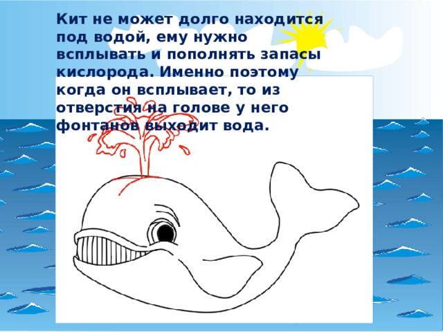 Кит не может долго находится под водой, ему нужно всплывать и пополнять запасы кислорода. Именно поэтому когда он всплывает, то из отверстия на голове у него фонтанов выходит вода. 