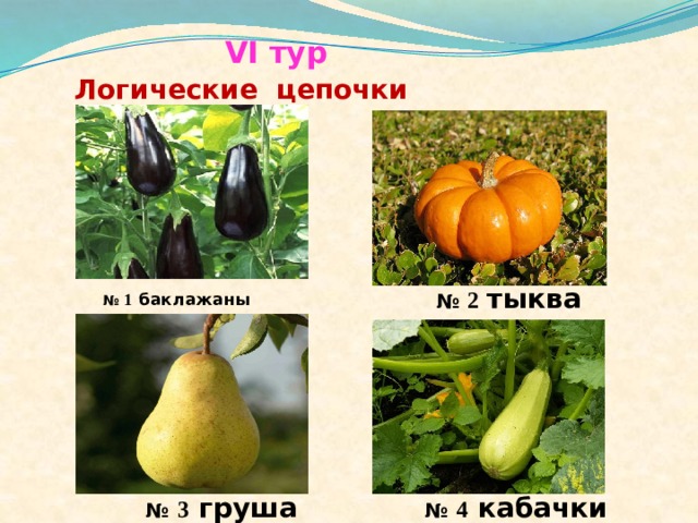  VI тур   Логические цепочки   №  1 баклажаны  №  2  тыква  №  3 груша  №  4 кабачки 