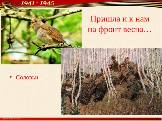 Пришла и к нам на фронт весна… Соловьи 
