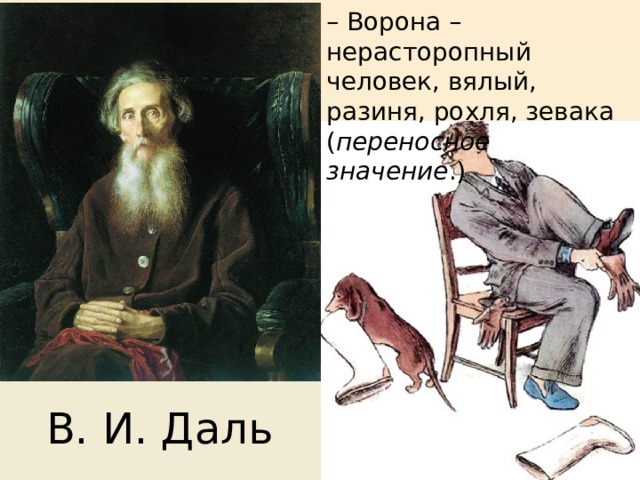 –  Ворона – нерасторопный человек, вялый, разиня, рохля, зевака ( переносное значение .) В. И. Даль 