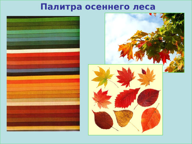 Палитра осеннего леса 