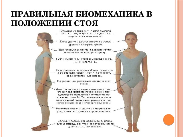 Правильная биомеханика в положении стоя 