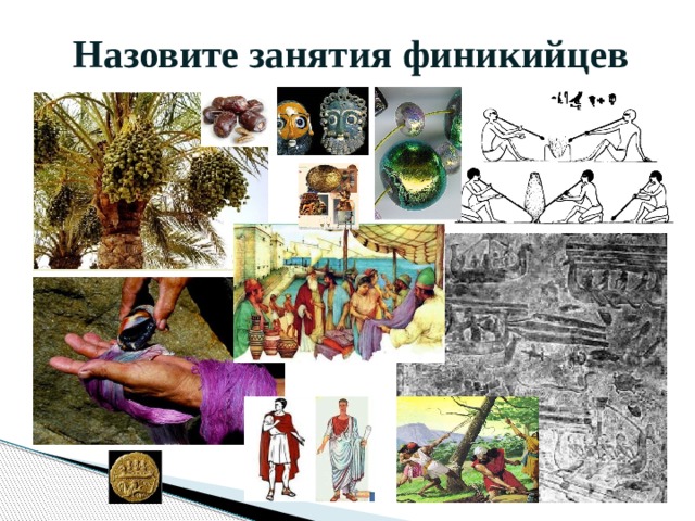 Назовите занятия финикийцев 