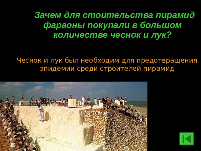  Зачем для стоительства пирамид фараоны покупали в большом количестве чеснок и лук? Чеснок и лук был необходим для предотвращения эпидемии среди строителей пирамид 
