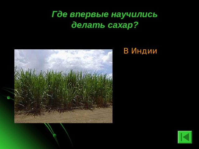  Где впервые научились делать сахар? В Индии 