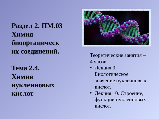 Раздел 2. ПМ.03 Химия биоорганических соединений.   Тема 2.4. Химия нуклеиновых кислот Теоретические занятия – 4 часов Лекция 9. Биологическое значение нуклеиновых кислот. Лекция 10. Строение, функции нуклеиновых кислот. 