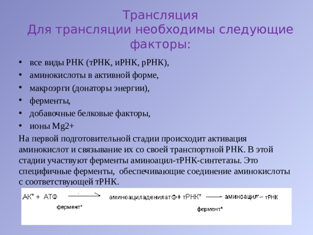 Трансляция  Для трансляции необходимы следующие факторы:   все виды РНК (тРНК, иРНК, рРНК),   аминокислоты в активной форме,   макроэрги (донаторы энергии),   ферменты,   добавочные белковые факторы,   ионы Mg2+ На первой подготовительной стадии происходит активация аминокислот и связывание их со своей транспортной РНК. В этой стадии участвуют ферменты аминоацил-тРНК-синтетазы. Это специфичные ферменты,  обеспечивающие соединение аминокислоты с соответствующей тРНК. 