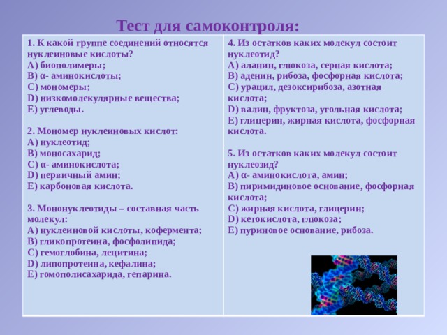 Тест для самоконтроля: 1. К какой группе соединений относятся нуклеиновые кислоты? 4. Из остатков каких молекул состоит нуклеотид? А) биополимеры; В) α- аминокислоты; А) аланин, глюкоза, серная кислота; С) мономеры; В) аденин, рибоза, фосфорная кислота; D) низкомолекулярные вещества; С) урацил, дезоксирибоза, азотная кислота; D) валин, фруктоза, угольная кислота; Е) углеводы.  Е) глицерин, жирная кислота, фосфорная кислота. 2. Мономер нуклеиновых кислот:  5. Из остатков каких молекул состоит нуклеозид? А) нуклеотид; А) α- аминокислота, амин; В) моносахарид; В) пиримидиновое основание, фосфорная кислота; С) α- аминокислота; С) жирная кислота, глицерин; D) первичный амин; D) кетокислота, глюкоза; Е) карбоновая кислота. Е) пуриновое основание, рибоза.  3. Мононуклеотиды – составная часть молекул: А) нуклеиновой кислоты, кофермента; В) гликопротеина, фосфолипида; С) гемоглобина, лецитина; D) липопротеина, кефалина; Е) гомополисахарида, гепарина.  