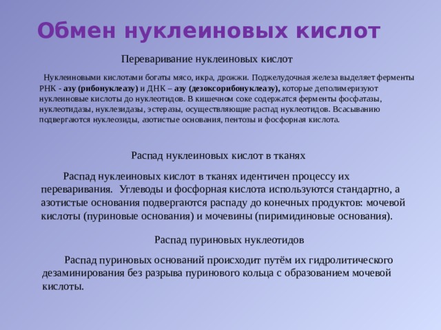 Обмен нуклеиновых кислот Переваривание нуклеиновых кислот  Нуклеиновыми кислотами богаты мясо, икра, дрожжи. Поджелудочная железа выделяет ферменты РНК - азу (рибонуклеазу) и ДНК – азу (дезоксорибонуклеазу), которые деполимеризуют нуклеиновые кислоты до нуклеотидов. В кишечном соке содержатся ферменты фосфатазы, нуклеотидазы, нуклезидазы, эстеразы, осуществляющие распад нуклеотидов. Всасыванию подвергаются нуклеозиды, азотистые основания, пентозы и фосфорная кислота. Распад нуклеиновых кислот в тканях    Распад нуклеиновых кислот в тканях идентичен процессу их переваривания.  Углеводы и фосфорная кислота используются стандартно, а азотистые основания подвергаются распаду до конечных продуктов: мочевой кислоты (пуриновые основания) и мочевины (пиримидиновые основания). Распад пуриновых нуклеотидов  Распад пуриновых оснований происходит путём их гидролитического дезаминирования без разрыва пуринового кольца с образованием мочевой кислоты. 