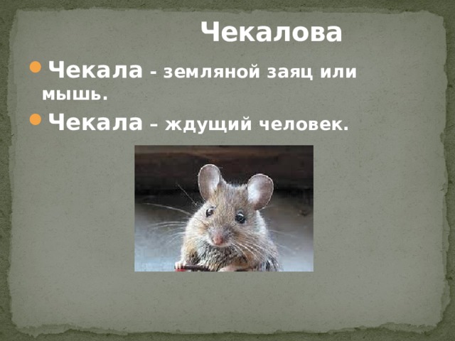 Чекалова Чекала - земляной заяц или мышь. Чекала – ждущий человек.    