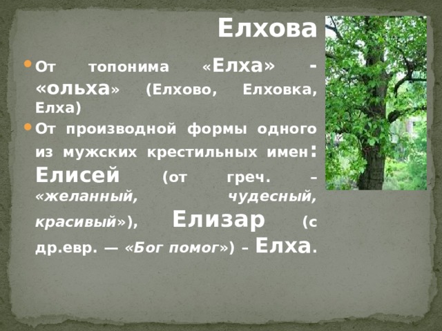  Елхова От топонима « Елха» - «ольха » (Елхово, Елховка, Елха) От производной формы одного из мужских крестильных имен : Елисей (от греч. – «желанный, чудесный, красивый »), Елизар (с др.евр. — «Бог помог ») – Елха . 