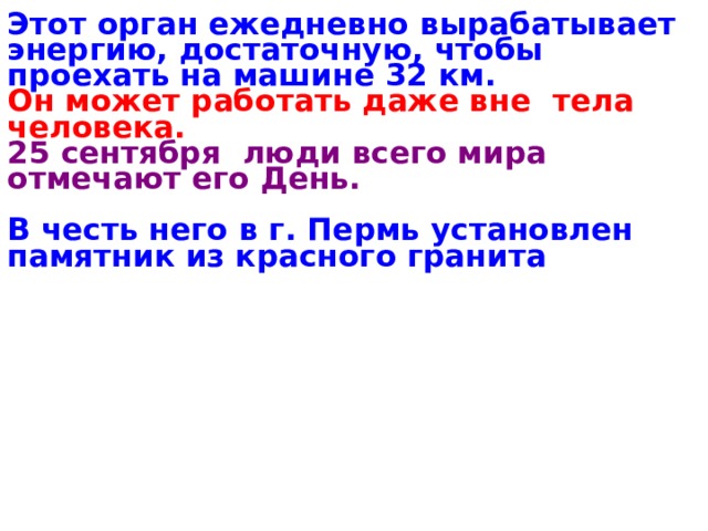 Этот орган ежедневно вырабатывает энергию, достаточную, чтобы проехать на машине 32 км.  Он может работать даже вне тела человека. 25 сентября люди всего мира отмечают его День.  В честь него в г. Пермь установлен памятник из красного гранита   
