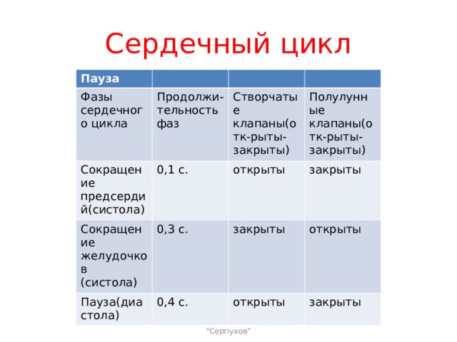 Сердечный цикл Пауза Фазы сердечного цикла Продолжи-тельность фаз Сокращение предсердий(систола) Сокращение желудочков (систола) Створчатые клапаны(отк-рыты-закрыты) 0,1 с. Пауза(диастола) 0,3 с. открыты Полулунные клапаны(отк-рыты-закрыты) закрыты закрыты 0,4 с. открыты открыты закрыты Шишловская Е. Л., лицей 
