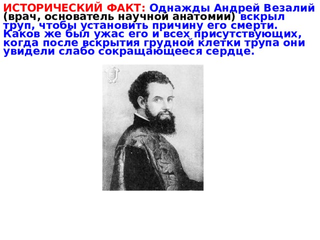 ИСТОРИЧЕСКИЙ ФАКТ: Однажды Андрей Везалий (врач, основатель научной анатомии) вскрыл труп, чтобы установить причину его смерти. Каков же был ужас его и всех присутствующих, когда после вскрытия грудной клетки трупа они увидели слабо сокращающееся сердце. 