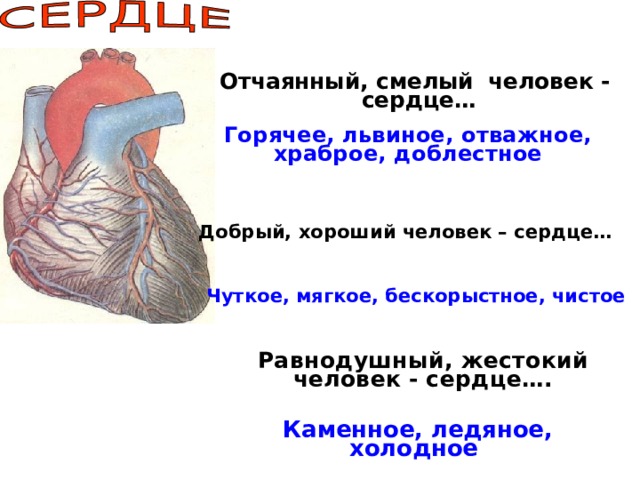 Отчаянный, смелый человек - сердце… Горячее, львиное, отважное, храброе, доблестное Добрый, хороший человек – сердце… Чуткое, мягкое, бескорыстное, чистое  Равнодушный, жестокий человек - сердце….  Каменное, ледяное, холодное 