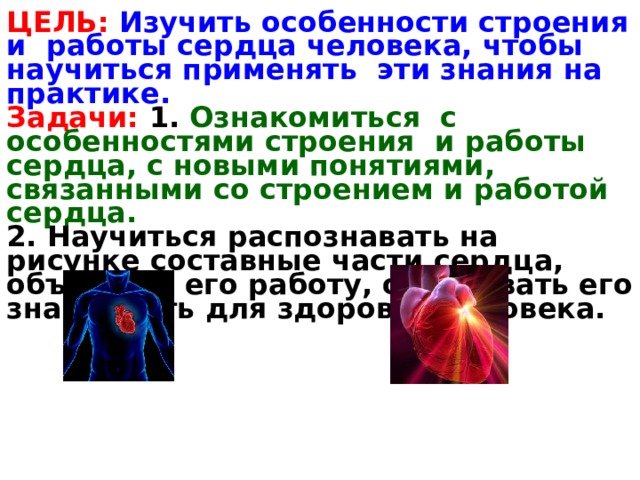 ЦЕЛЬ: Изучить особенности строения и работы сердца человека, чтобы научиться применять эти знания на практике. Задачи: 1. Ознакомиться с особенностями строения и работы сердца, с новыми понятиями, связанными со строением и работой сердца. 2. Научиться распознавать на рисунке составные части сердца, объяснять его работу, обосновать его значимость для здоровья человека. 