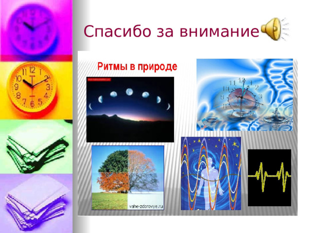 Спасибо за внимание 