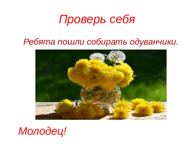 Проверь себя Ребята пошли собирать одуванчики. Молодец! 
