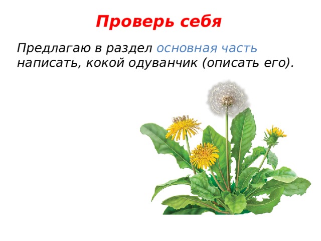 Проверь себя Предлагаю в раздел основная часть написать, кокой одуванчик (описать его). 