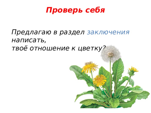 Проверь себя  Предлагаю в раздел заключения написать, твоё отношение к цветку? 
