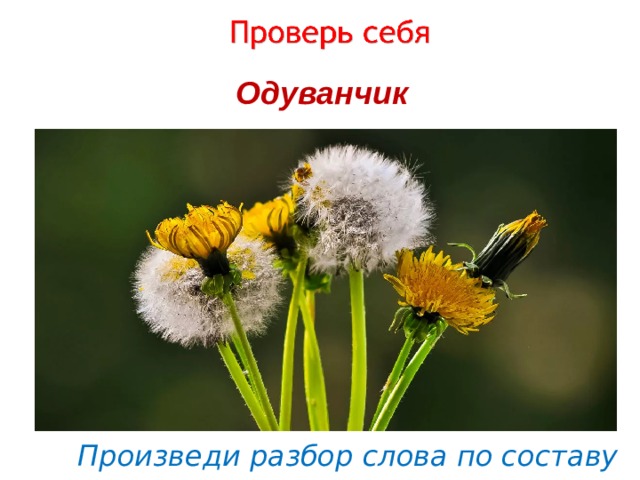 Одуванчик   Произведи разбор слова по составу 