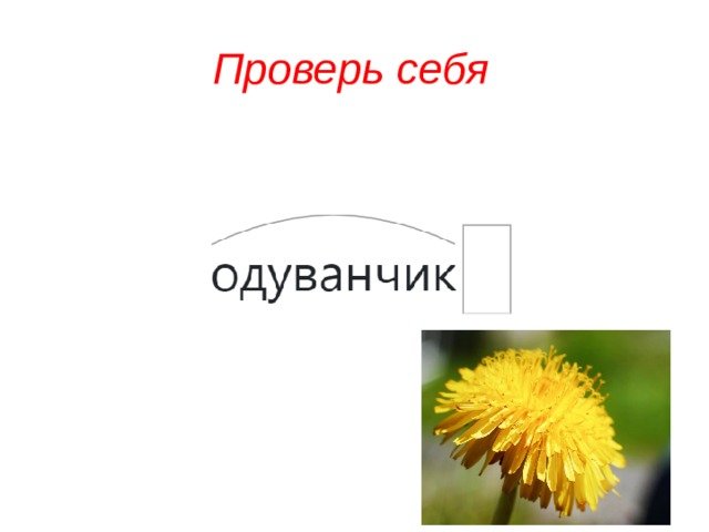 Проверь себя 