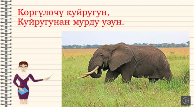  Көргүлөчү куйругун,  Куйругунан мурду узун. 