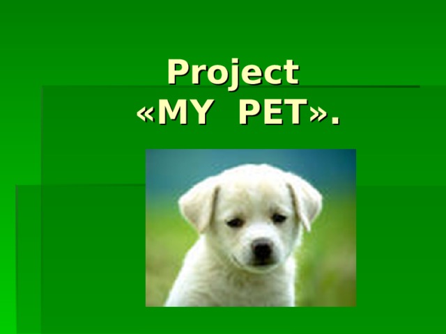 Project   « MY PET » .   