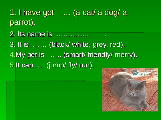 1. I have got … (a cat/ a dog/ a parrot). 2. Its name is ………….. . 3. It is …… (black/ white, grey, red). My pet is ….. (smart/ friendly/ merry). It can …. (jump/ fly/ run). 