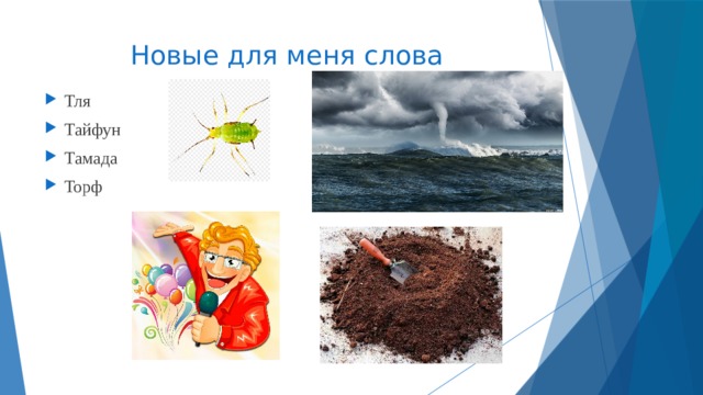 Новые для меня слова Тля Тайфун Тамада Торф 