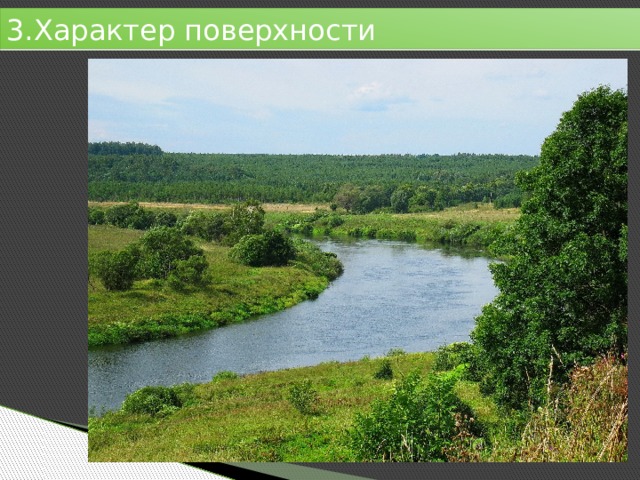 3.Характер поверхности 