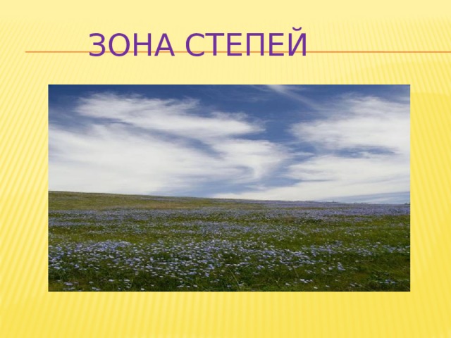  Зона степей 