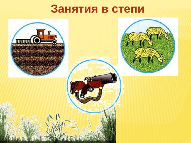 Занятия в степи 