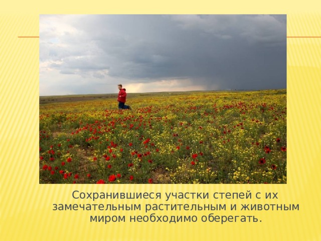  Сохранившиеся участки степей с их замечательным растительным и животным миром необходимо оберегать. 